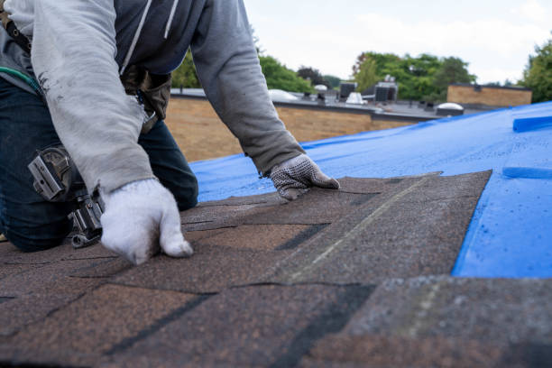 Best Roof Restoration Services  in Oquawka, IL