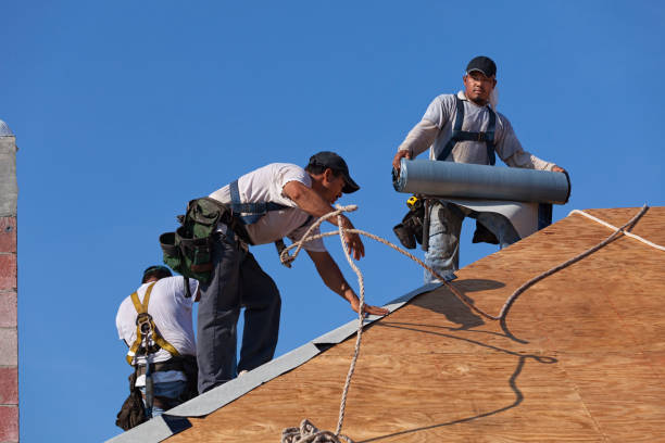 Best Emergency Roof Repair  in Oquawka, IL