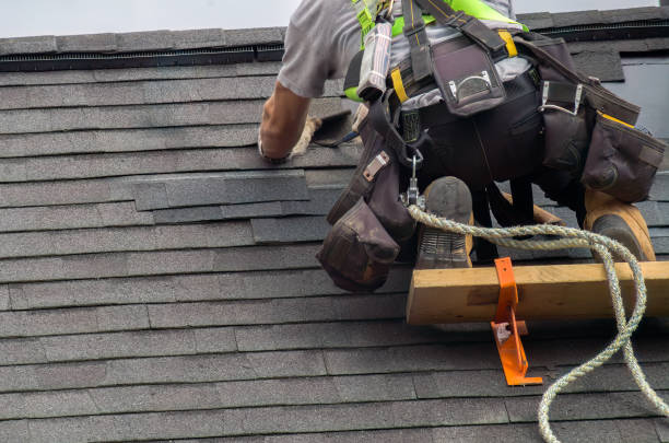 Best Tile Roofing Contractor  in Oquawka, IL