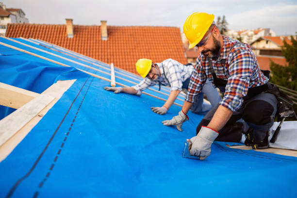 Best Commercial Roofing Services  in Oquawka, IL