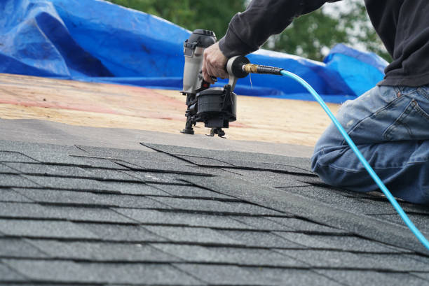Best Roofing Contractors for Homes  in Oquawka, IL