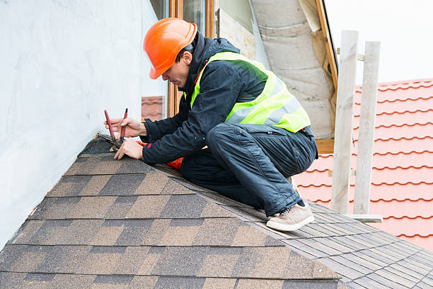 Best New Roof Installation  in Oquawka, IL