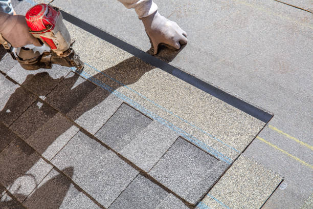 Best Metal Roofing Contractor  in Oquawka, IL